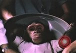 Image of NASA Project Mercury United States USA, 1960, second 39 stock footage video 65675021452