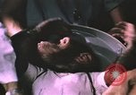 Image of NASA Project Mercury United States USA, 1960, second 40 stock footage video 65675021452