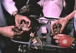 Image of NASA Project Mercury United States USA, 1960, second 46 stock footage video 65675021452