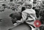 Standbild Weiße Haus Preisverleihung United States USA, 1963, aus Sekunde 57 historischem Filmmaterial Videoclip 65675021469