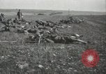 Image of 5th Marine Regiment France, 1918, second 1 stock footage video 65675021496