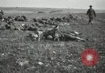 Image of 5th Marine Regiment France, 1918, second 11 stock footage video 65675021496