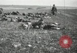 Image of 5th Marine Regiment France, 1918, second 13 stock footage video 65675021496