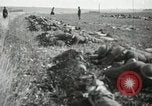 Image of 5th Marine Regiment France, 1918, second 19 stock footage video 65675021496