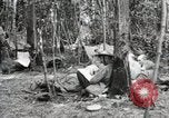 Standbild 12 Field Artillery Regiment Bois de Belleau Frankreich, 1918, aus Sekunde 27 historischem Filmmaterial Videoclip 65675021506
