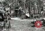 Standbild 12 Field Artillery Regiment Bois de Belleau Frankreich, 1918, aus Sekunde 34 historischem Filmmaterial Videoclip 65675021506