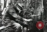 Standbild 12 Field Artillery Regiment Bois de Belleau Frankreich, 1918, aus Sekunde 52 historischem Filmmaterial Videoclip 65675021506