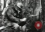 Standbild 12 Field Artillery Regiment Bois de Belleau Frankreich, 1918, aus Sekunde 59 historischem Filmmaterial Videoclip 65675021506