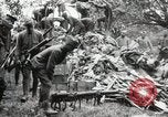 Immagine di 5° Reggimento Marine Chateau-Thierry Francia, 1918, secondo 42 filmato di repertorio 65675021508