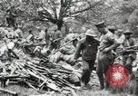 Immagine di 5° Reggimento Marine Chateau-Thierry Francia, 1918, secondo 62 filmato di repertorio 65675021508