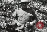 Image of 5th and 6th Marine Regiment France, 1918, second 36 stock footage video 65675021510
