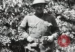 Image of 5th and 6th Marine Regiment France, 1918, second 37 stock footage video 65675021510