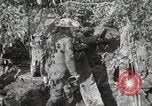 Image of 77th Field Artillery Unit France, 1918, second 48 stock footage video 65675021518