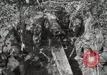 Image of 77th Field Artillery Unit France, 1918, second 50 stock footage video 65675021518