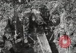 Image of 77th Field Artillery Unit France, 1918, second 51 stock footage video 65675021518