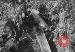 Image of 77th Field Artillery Unit France, 1918, second 53 stock footage video 65675021518