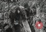 Image of 77th Field Artillery Unit France, 1918, second 54 stock footage video 65675021518