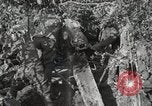 Image of 77th Field Artillery Unit France, 1918, second 59 stock footage video 65675021518