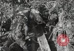 Image of 77th Field Artillery Unit France, 1918, second 60 stock footage video 65675021518