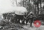 Image of Marne Operation France, 1918, second 23 stock footage video 65675021522