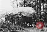 Image of Marne Operation France, 1918, second 24 stock footage video 65675021522