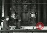 Image of wild animals United States USA, 1921, second 7 stock footage video 65675021528