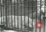 Image of wild animals United States USA, 1921, second 14 stock footage video 65675021528