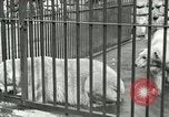 Image of wild animals United States USA, 1921, second 15 stock footage video 65675021528