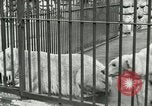 Image of wild animals United States USA, 1921, second 16 stock footage video 65675021528