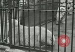 Image of wild animals United States USA, 1921, second 21 stock footage video 65675021528