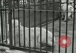 Image of wild animals United States USA, 1921, second 22 stock footage video 65675021528
