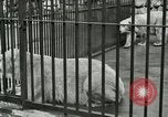 Image of wild animals United States USA, 1921, second 23 stock footage video 65675021528
