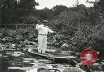 Image of wild birds United States USA, 1921, second 7 stock footage video 65675021530