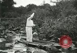 Image of wild birds United States USA, 1921, second 9 stock footage video 65675021530