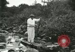 Image of wild birds United States USA, 1921, second 10 stock footage video 65675021530