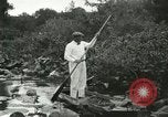 Image of wild birds United States USA, 1921, second 11 stock footage video 65675021530