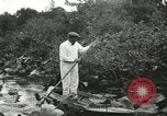 Image of wild birds United States USA, 1921, second 12 stock footage video 65675021530