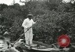 Image of wild birds United States USA, 1921, second 13 stock footage video 65675021530