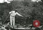 Image of wild birds United States USA, 1921, second 14 stock footage video 65675021530
