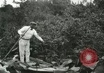Image of wild birds United States USA, 1921, second 15 stock footage video 65675021530