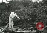 Image of wild birds United States USA, 1921, second 16 stock footage video 65675021530