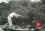 Image of wild birds United States USA, 1921, second 17 stock footage video 65675021530