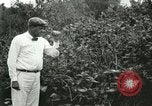 Image of wild birds United States USA, 1921, second 24 stock footage video 65675021530