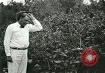 Image of wild birds United States USA, 1921, second 25 stock footage video 65675021530