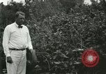 Image of wild birds United States USA, 1921, second 26 stock footage video 65675021530