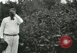 Image of wild birds United States USA, 1921, second 29 stock footage video 65675021530