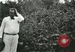 Image of wild birds United States USA, 1921, second 30 stock footage video 65675021530