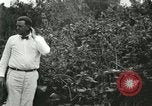 Image of wild birds United States USA, 1921, second 31 stock footage video 65675021530