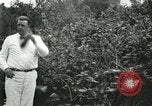 Image of wild birds United States USA, 1921, second 32 stock footage video 65675021530