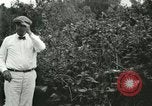 Image of wild birds United States USA, 1921, second 33 stock footage video 65675021530